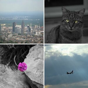 Dies & Das