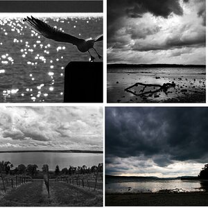 am Bodensee