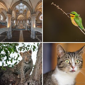 Allgemeine Bilder