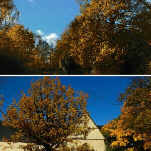 Herbst