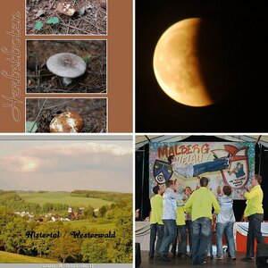 Impressionen