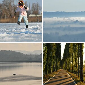 Reichenau - Meine Heimat
