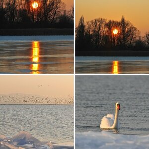 Reichenau - mal winterlich