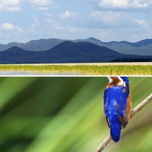 Natur