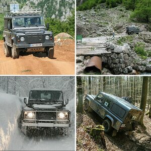 Landy