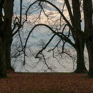Herstimpressionen