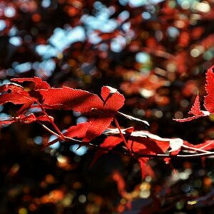 Herbstimpressionen