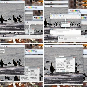 Bilder Optimieren fürs Forum Tutorial