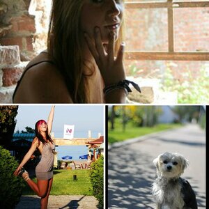 Pictures