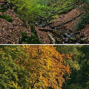 Herbst