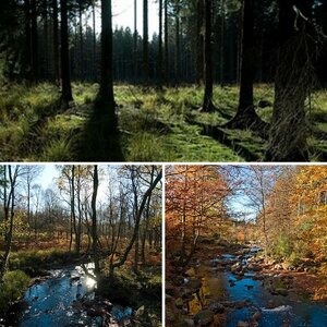 Bilder