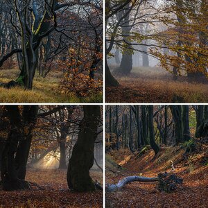 Geisterwald