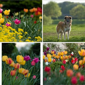 Frühling