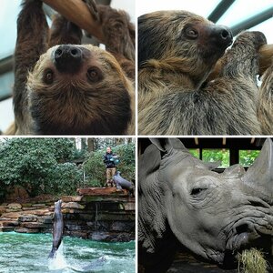 Zoo Dortmund