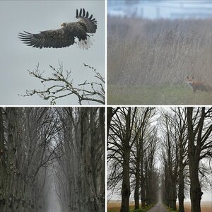 Usedom November 2012