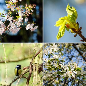 Frühling im Stadtpark