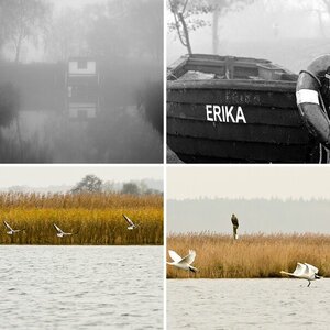 Esgaroth Bilder Usedom November 2012