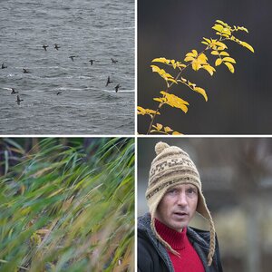 Usedom12_11