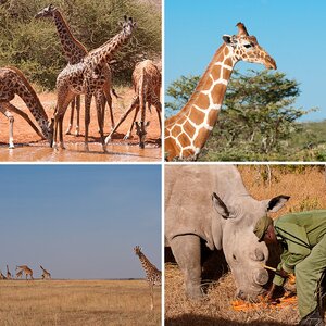 Kenia Februar 2012