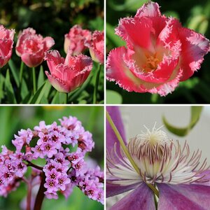 Blumen