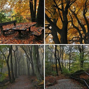 Nebel, Oktober 2010