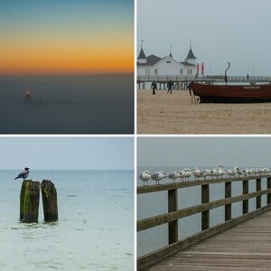 usedom_NFF2012