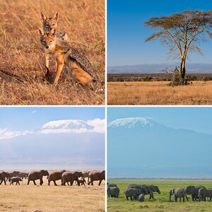 Kenia Februar 2012 II