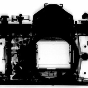 Scans