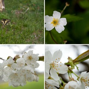 Springtime