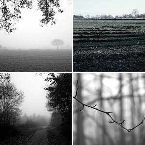 Herbsttage