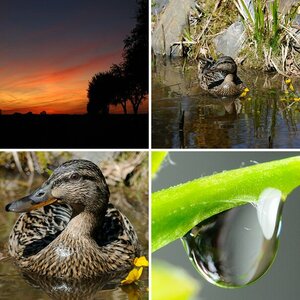 Natur