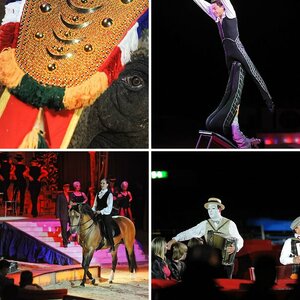 Circus Krone