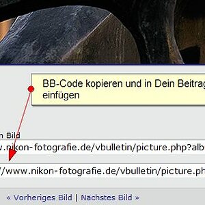 bbcode