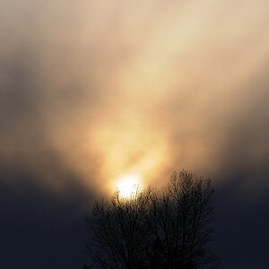 Herbst2008 03