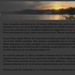 Website v2