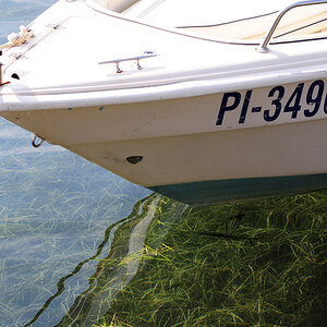 Portoroz Boot
Ein Schiff im Hafen, angetaut mit einer schönen Spiegelung im Wasser wobei das Seegras schön sichtbar wird.