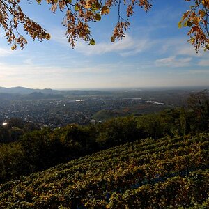 Blick ins Tal