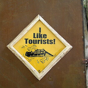 tourists