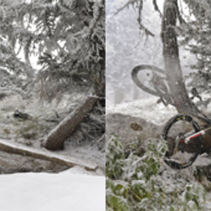 Bellwald Downhill 2008