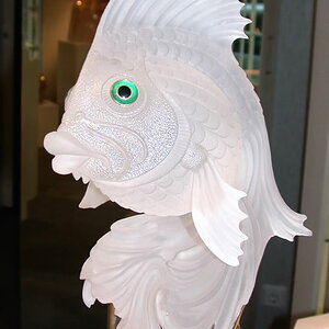 fisch