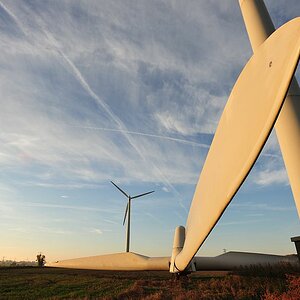 WW Wind 1