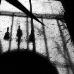 shadows on the wall