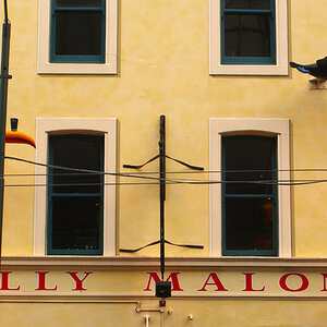 Molly Malones