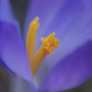 2008 02 27 Botanicher Garten 034