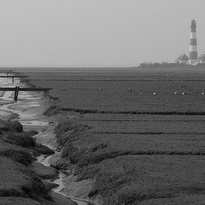Sankt Peter Ording Mai 05 104