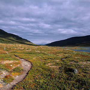 Wege im Fjäll