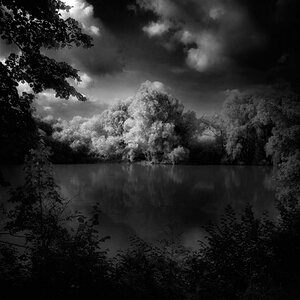 Moonlight