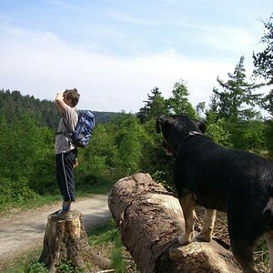 Aussichtsplattform