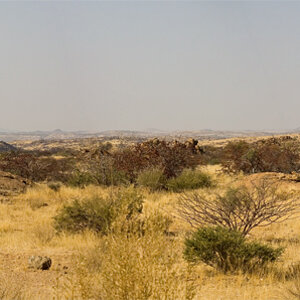 Landschaft