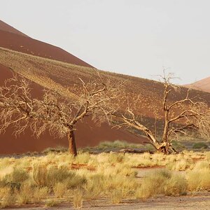 sossusvlei dunen